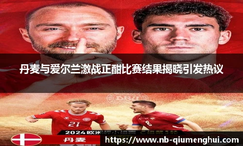 丹麦与爱尔兰激战正酣比赛结果揭晓引发热议